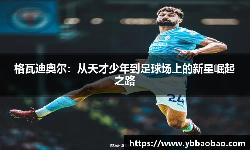 星空体育网站入口